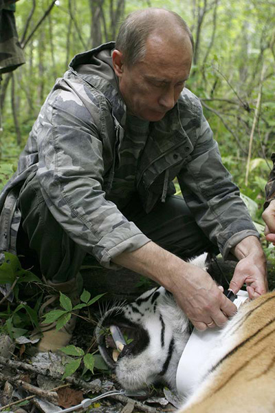 Putin and tiger