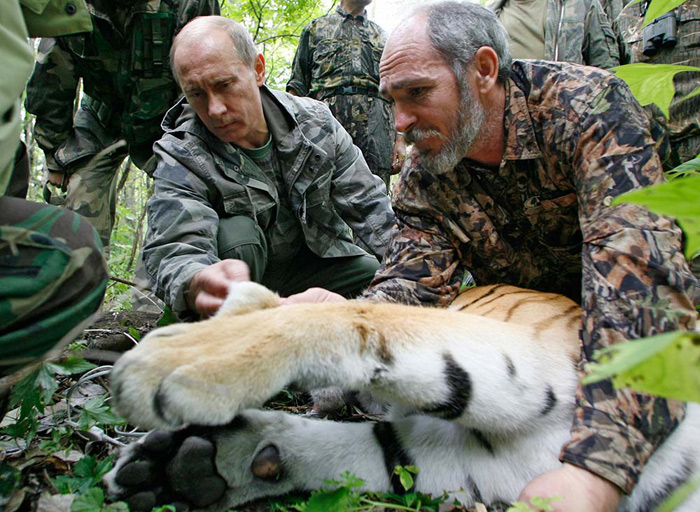Vladimir Putin and tiger